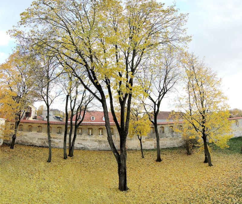 Domus Maria Hotel Vilnius Kültér fotó